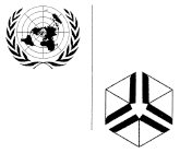 Университет Организации Объединенных Наций